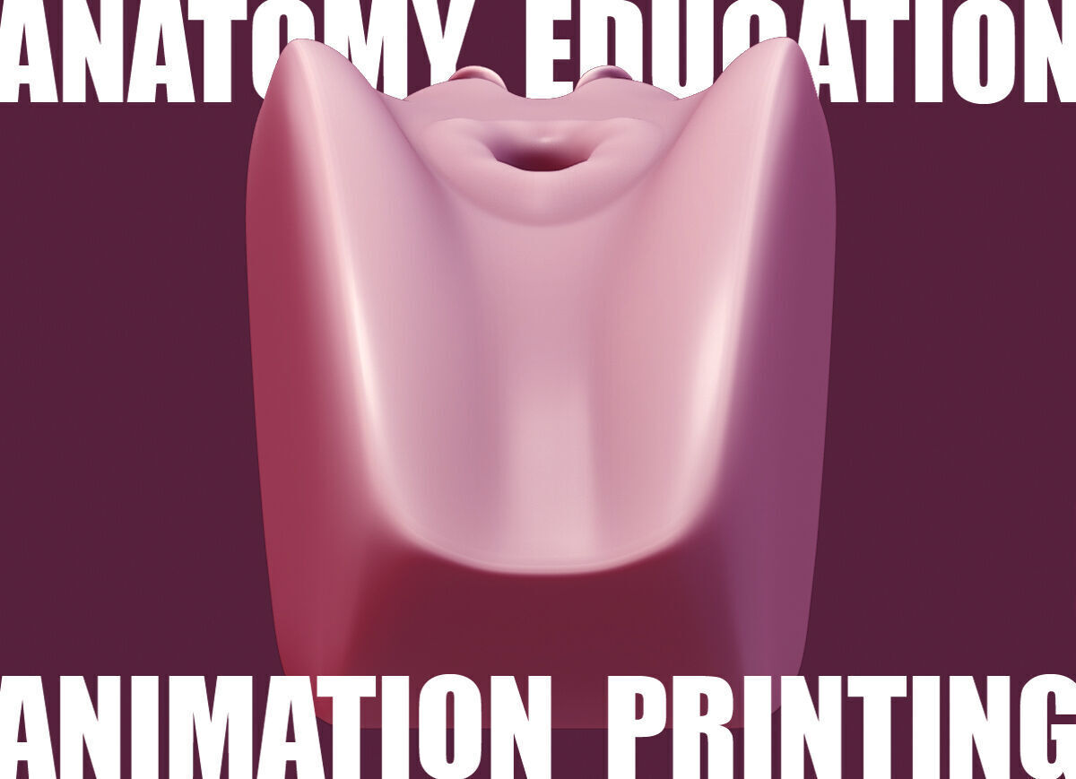 Female Genital Anatomy A-6 Low-poly 3D model_7