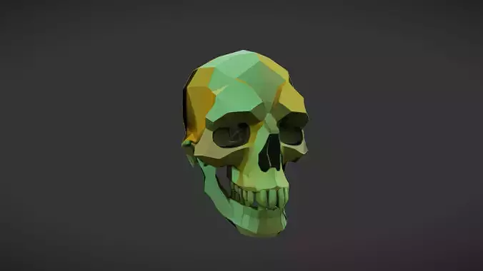 colorful geometric skull