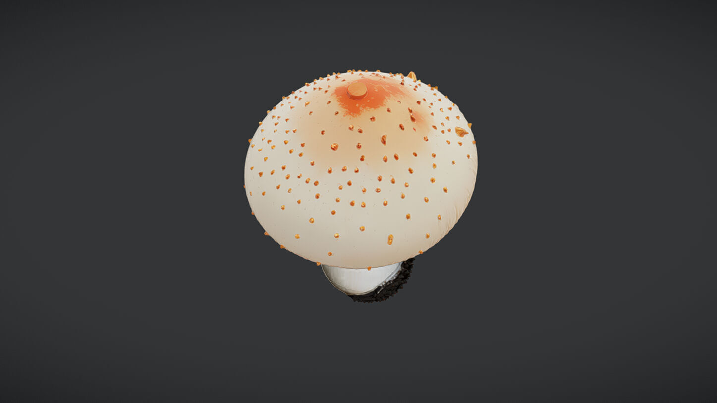 Amanita mushroom 3D model_3