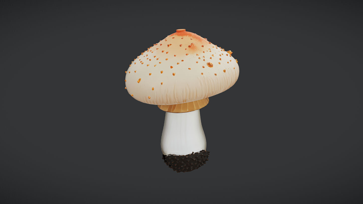 Amanita mushroom 3D model_2