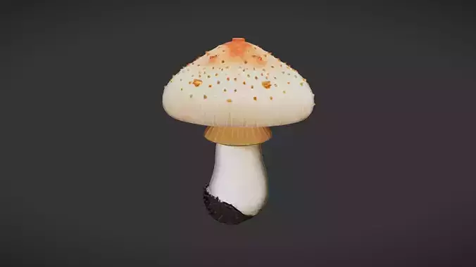 Amanita mushroom