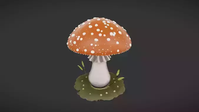 Amanita muscaria mushroom