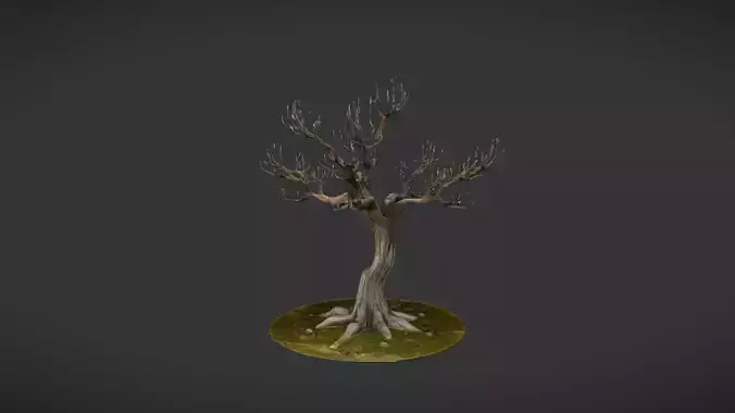 A leafless tree on grassy ground