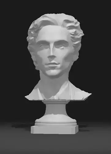 Timothee chalamet Acteur Portrait Head Sculpture 3D print model