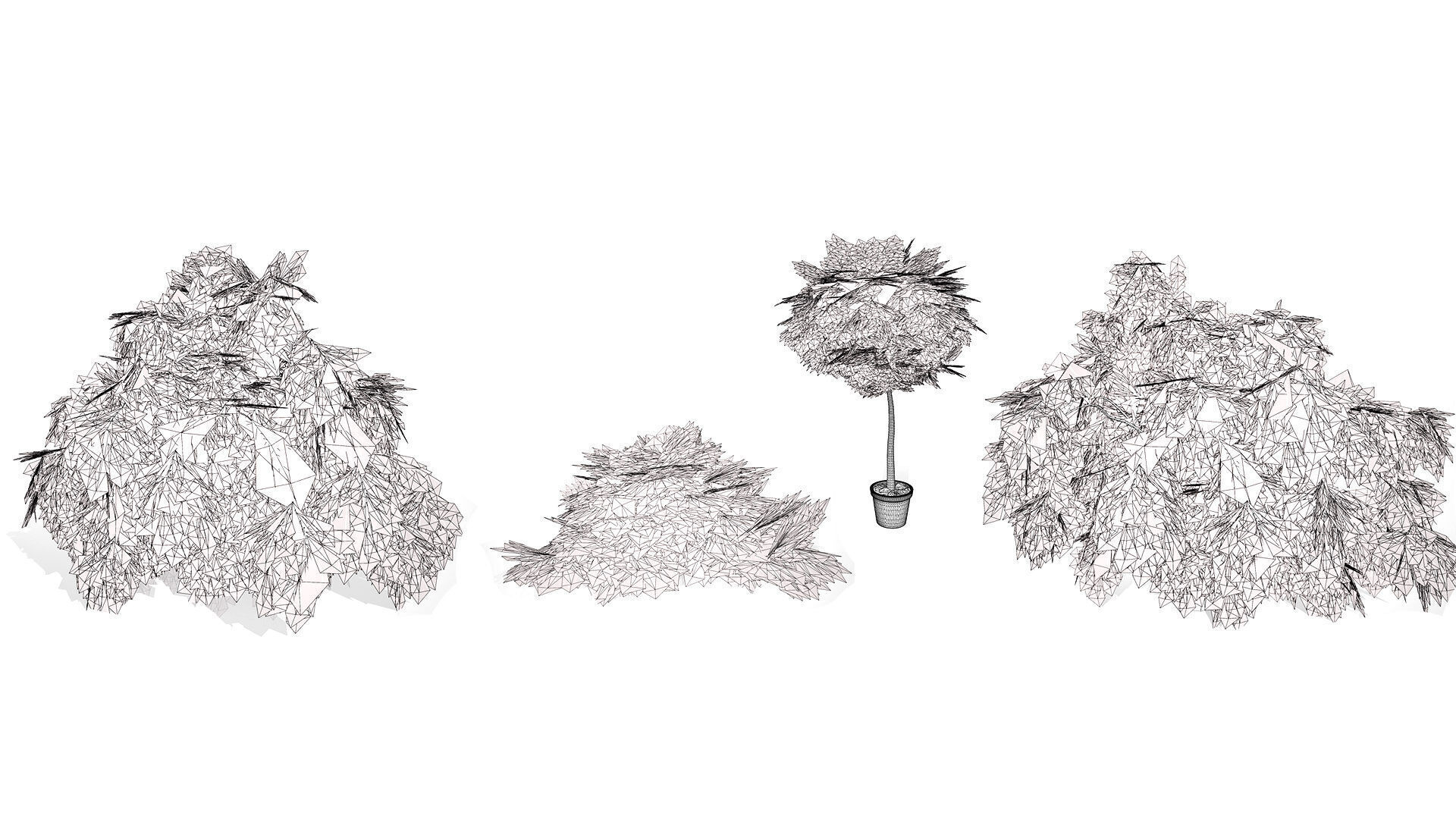 Acacia Cognata Tree Low-poly 3D model_11