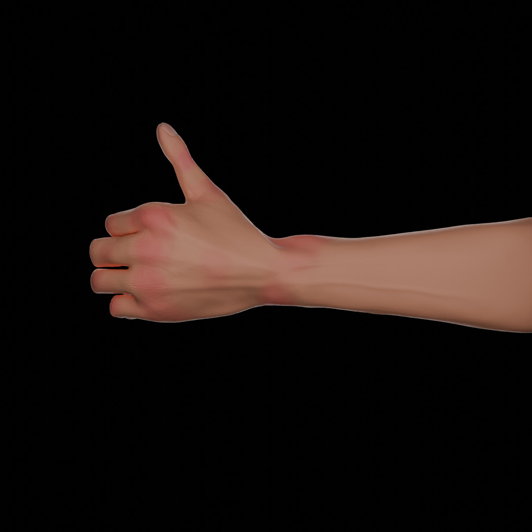 HAND model rigged Free 3D model_4