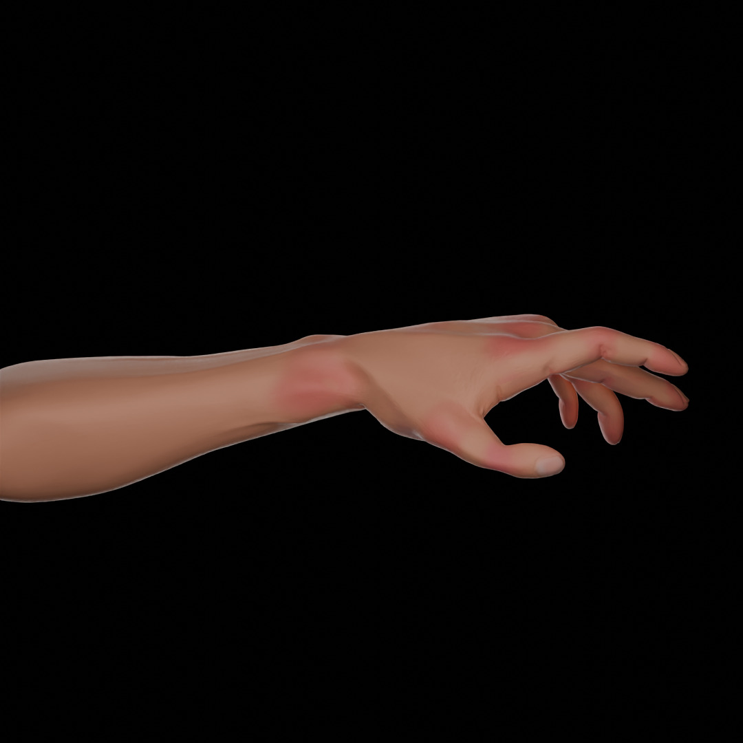 HAND model rigged Free 3D model_3