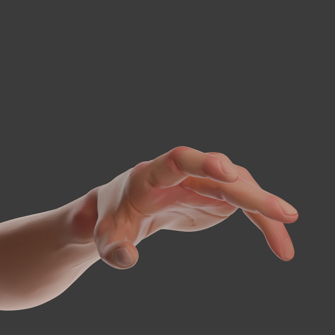 HAND model rigged Free 3D model_1