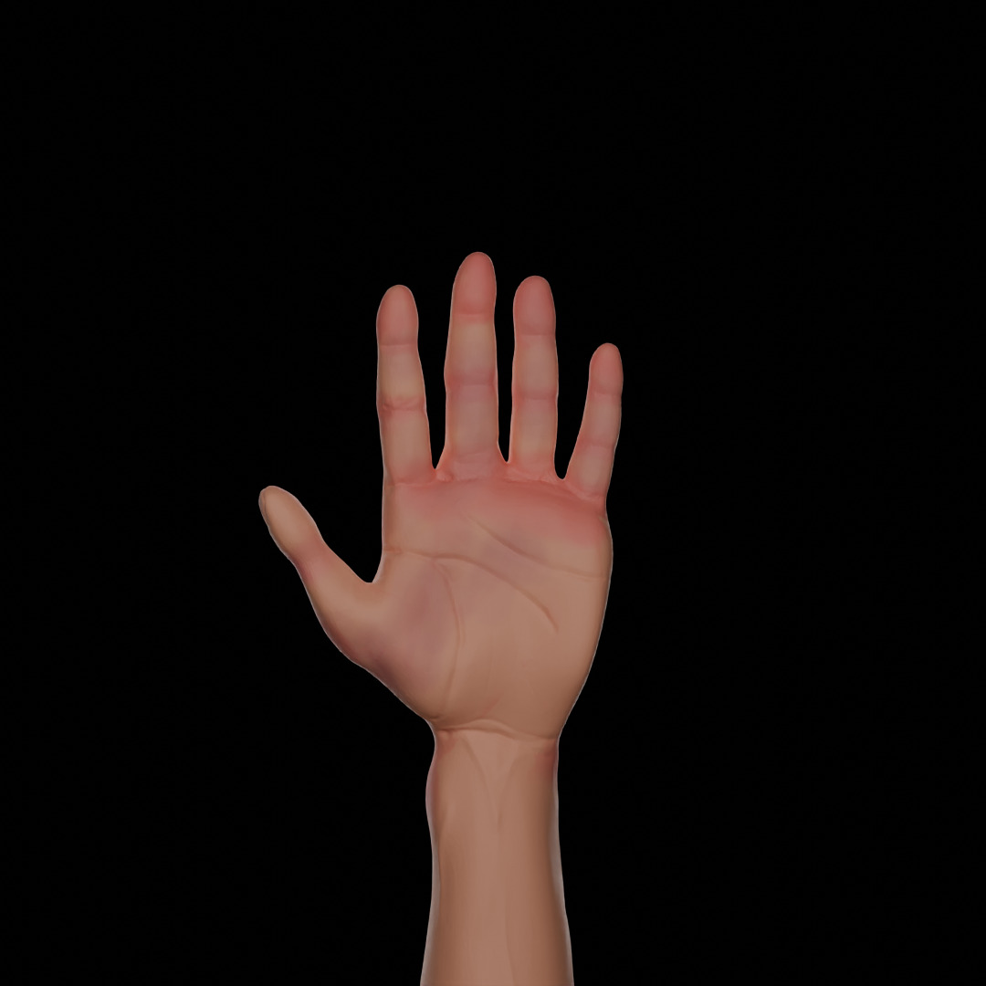HAND model rigged Free 3D model_2