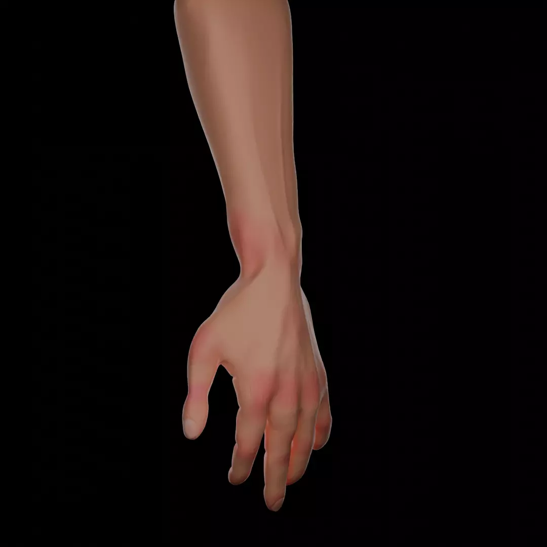 HAND model rigged Free 3D model_0
