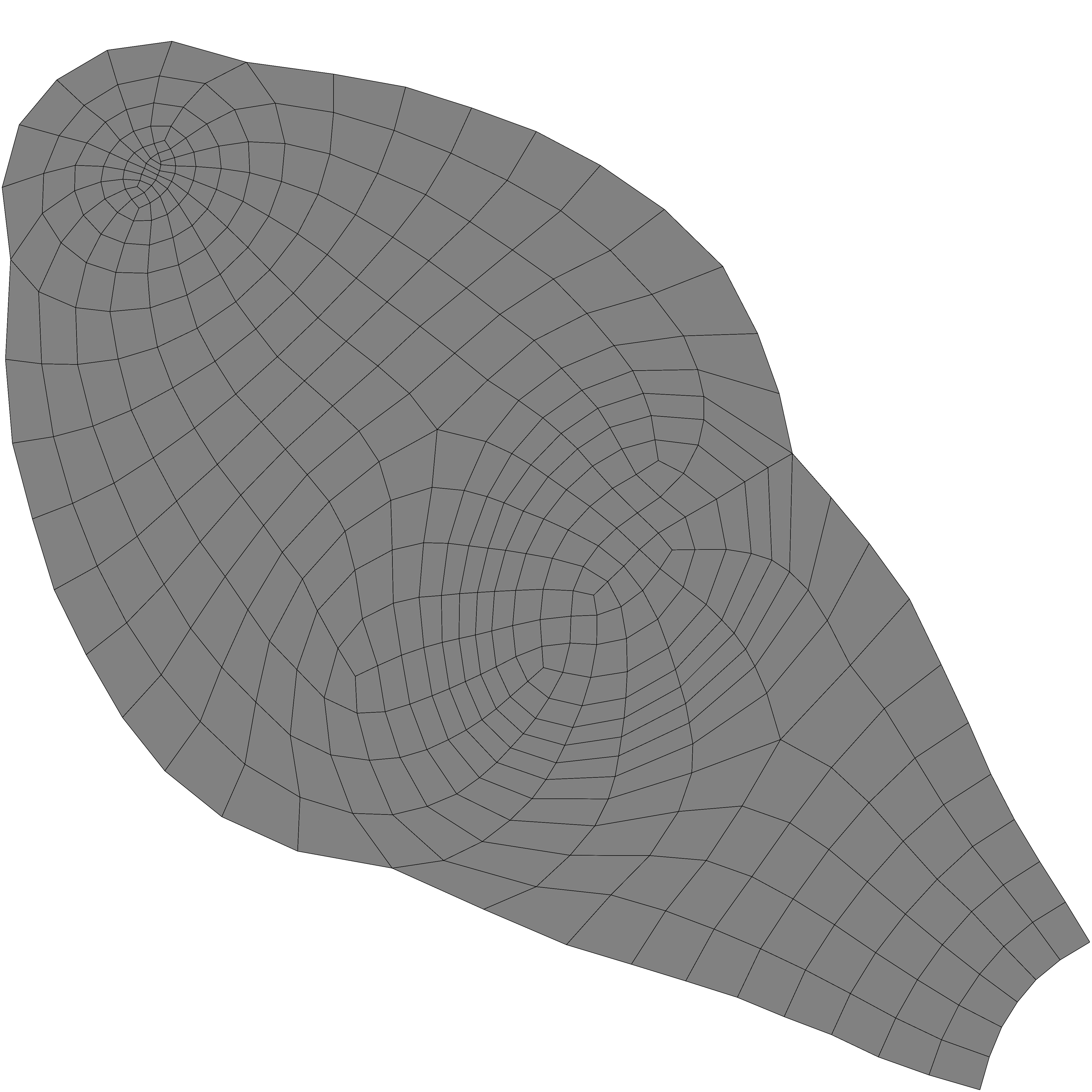 Komodo Dragon Low-poly 3D model_11