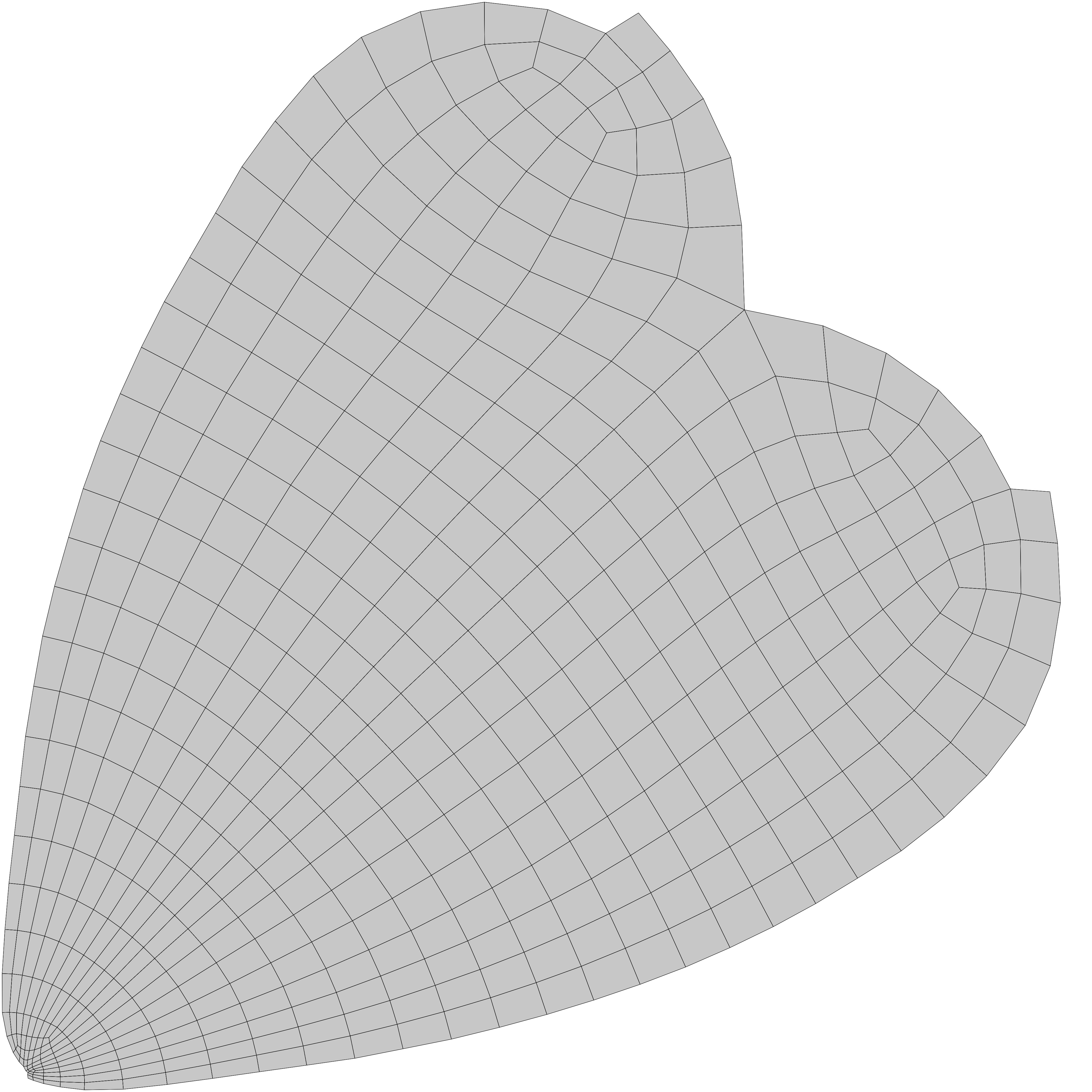 Komodo Dragon Low-poly 3D model_6