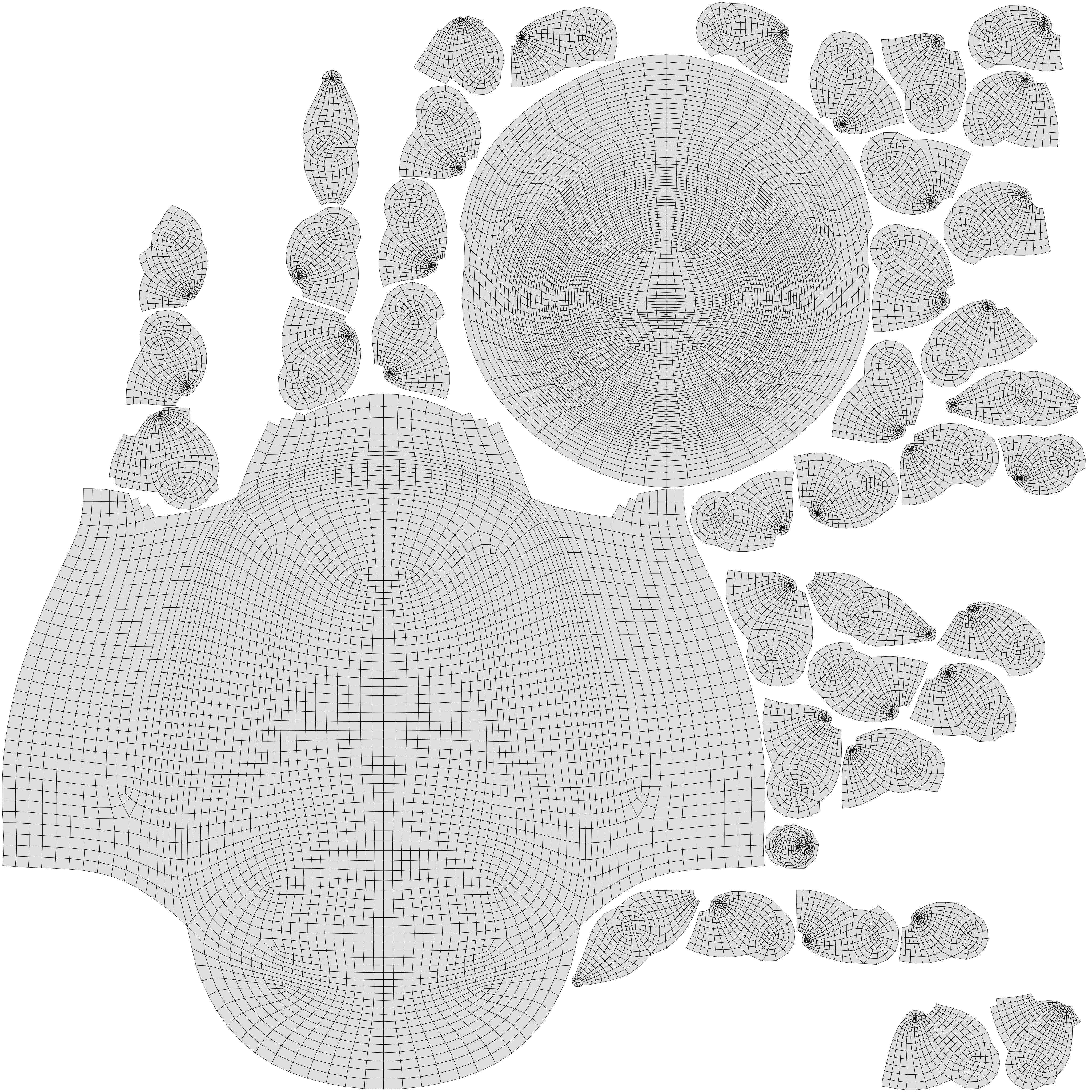 Komodo Dragon Low-poly 3D model_13