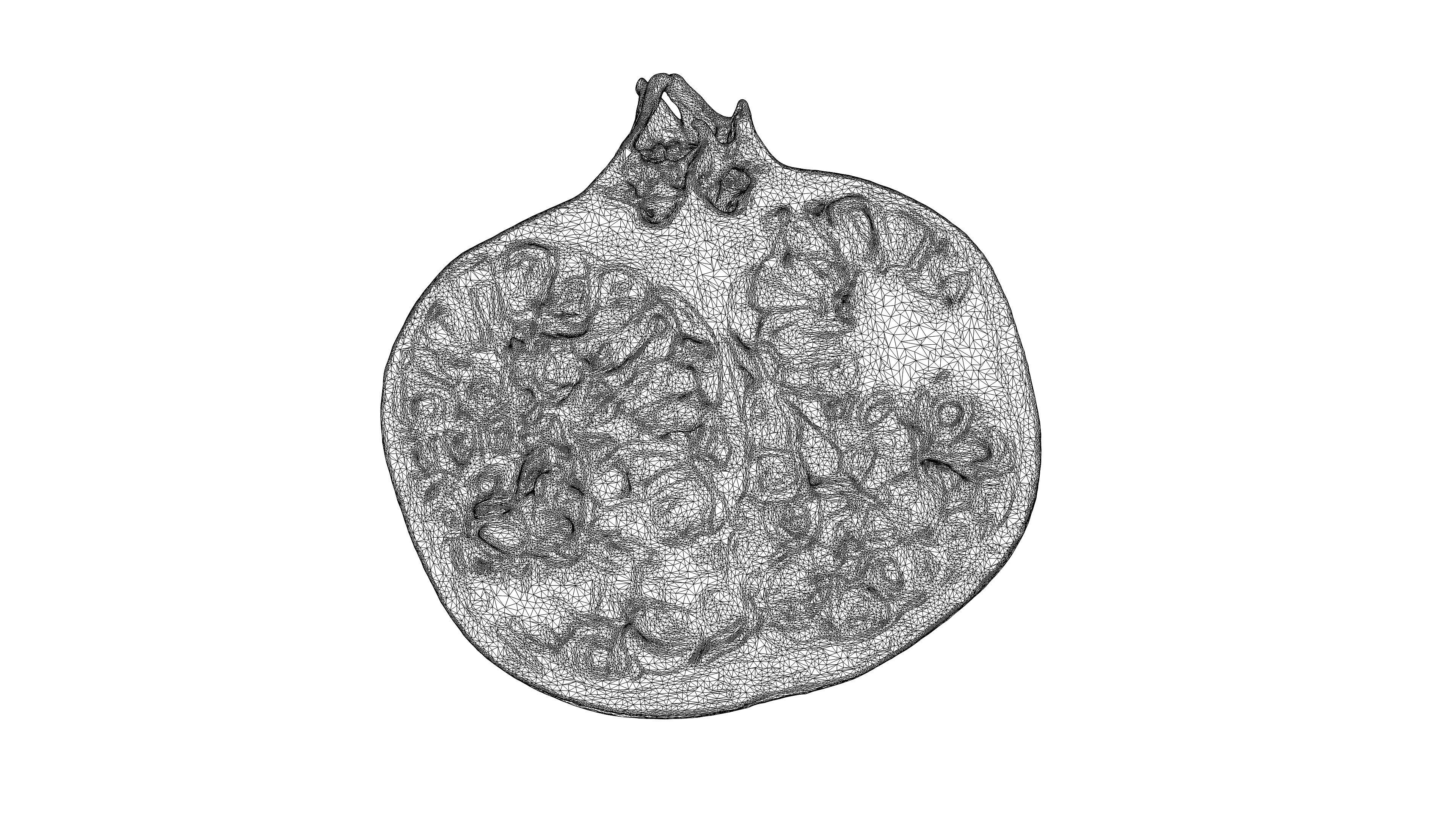 Photorealistic 3D scanning of halves of different fruits 3D Model Collection_8