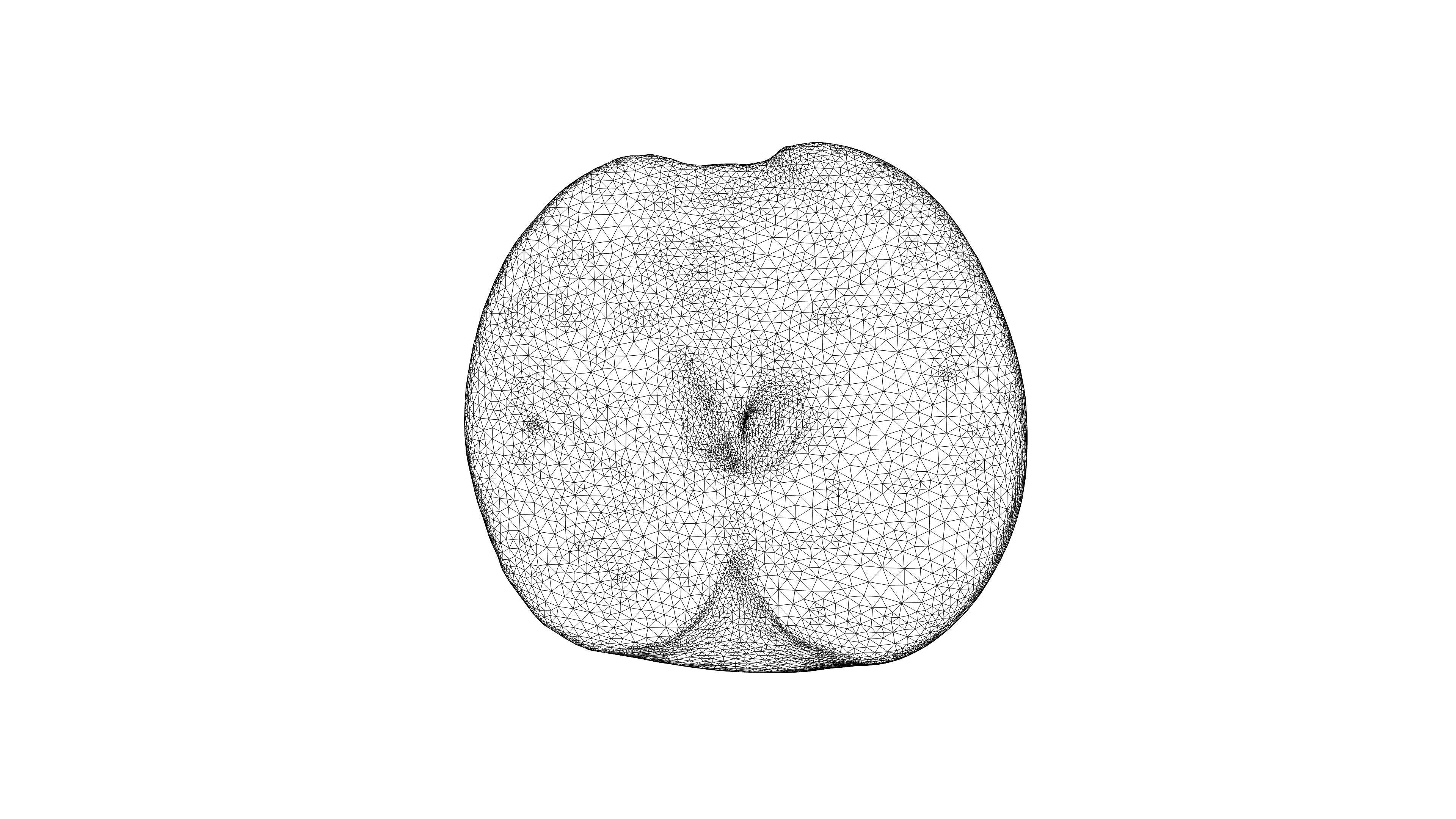 Photorealistic 3D scanning of halves of different fruits 3D Model Collection_12