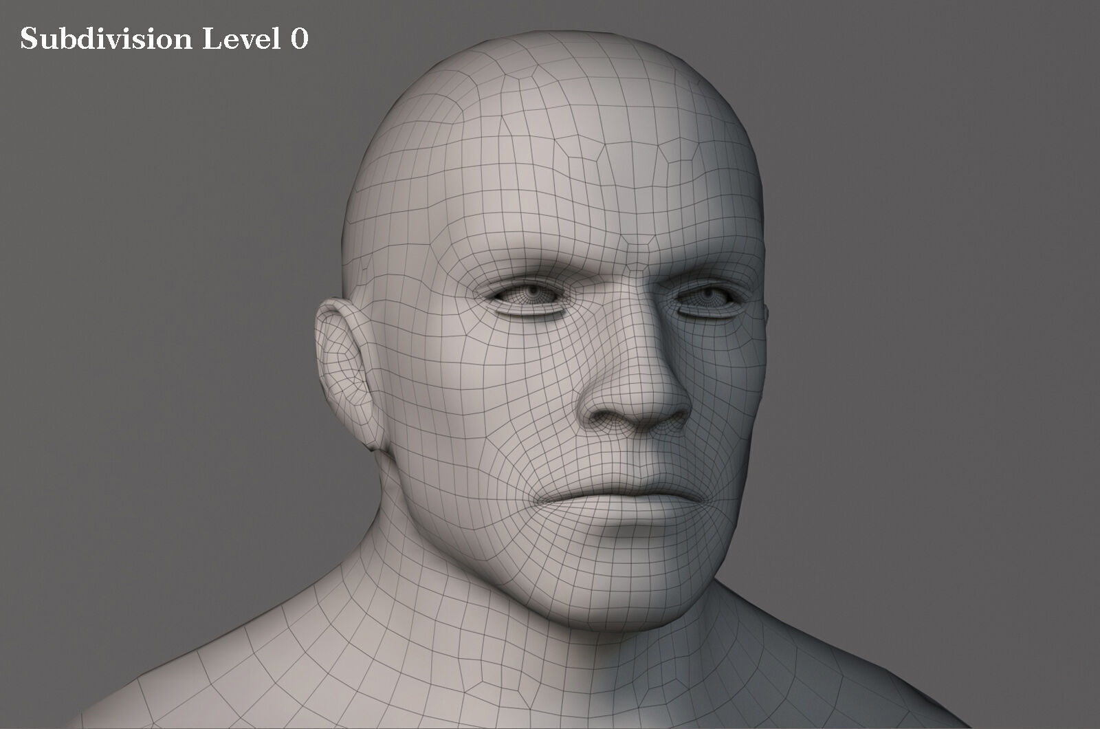 Male Base Muscle Rig Low-poly 3D model_22