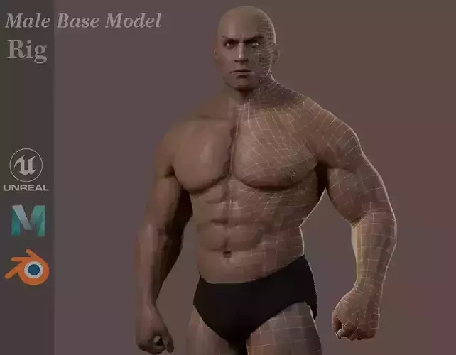 Male Base Muscle Rig Low-poly 3D model