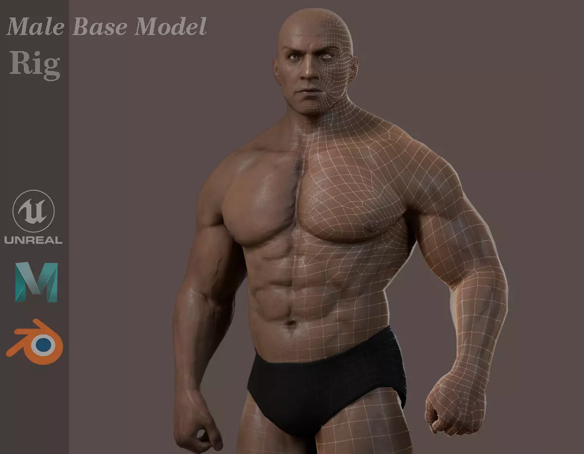 Male Base Muscle Rig Low-poly 3D model_0
