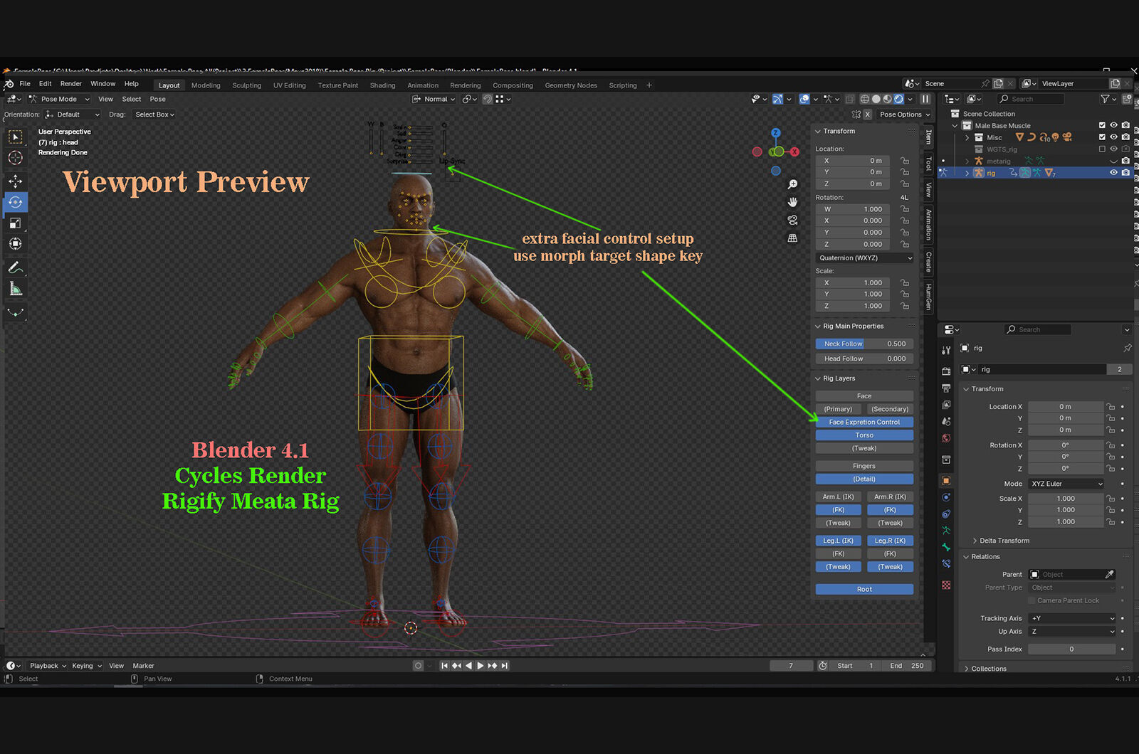 Male Base Muscle Rig Low-poly 3D model_26