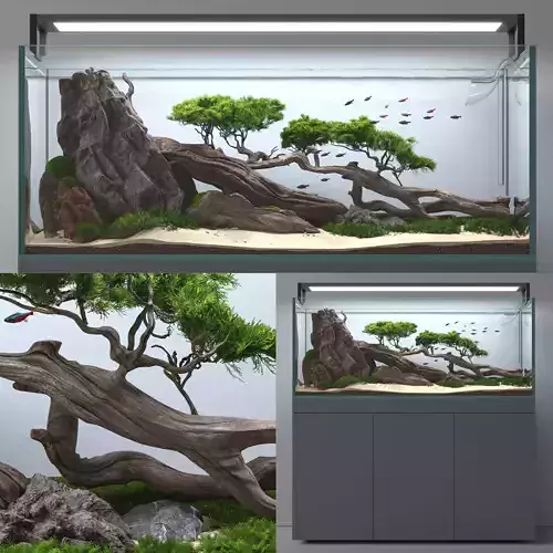 Aquascape aquarium Nature 3D model