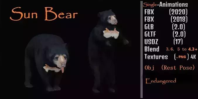 Sun Bear Low-poly 3D model