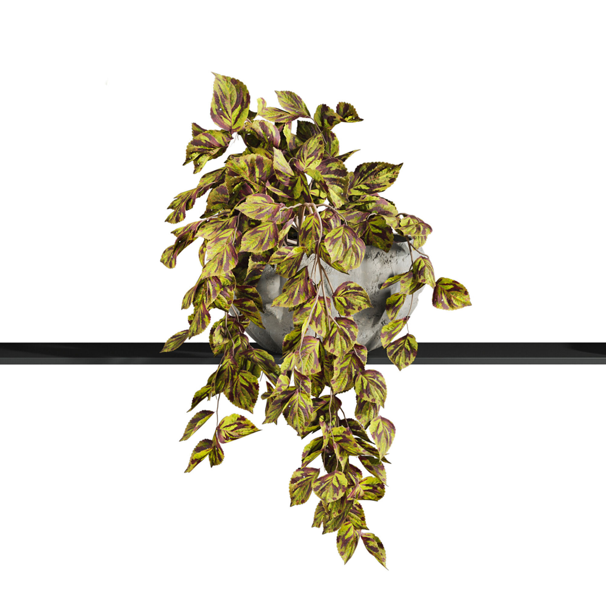 Plants Set 3D model_1