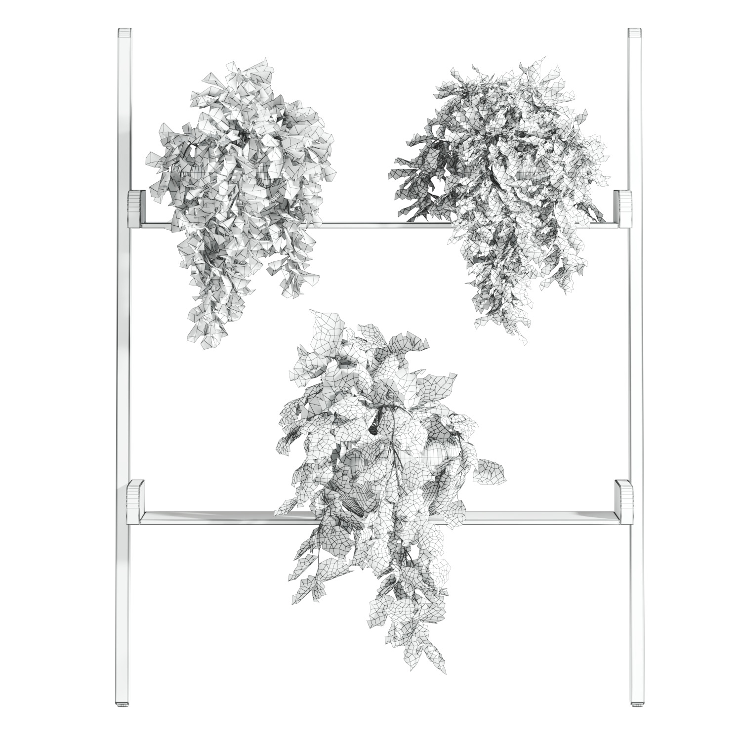 Plants Set 3D model_3