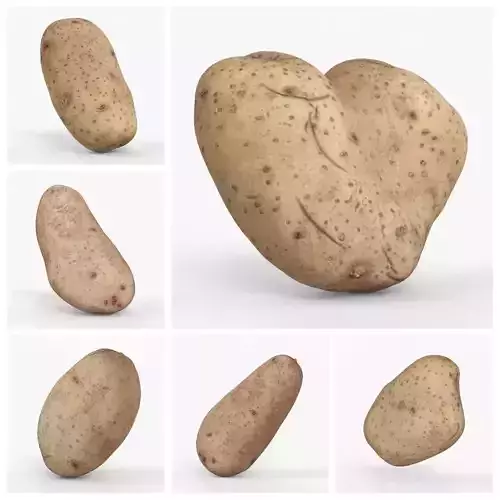 Photorealistic 3D scan of potatoes
