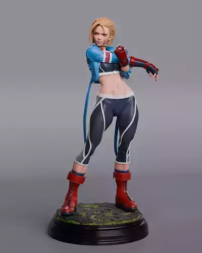 Cammy SF6 3D print model