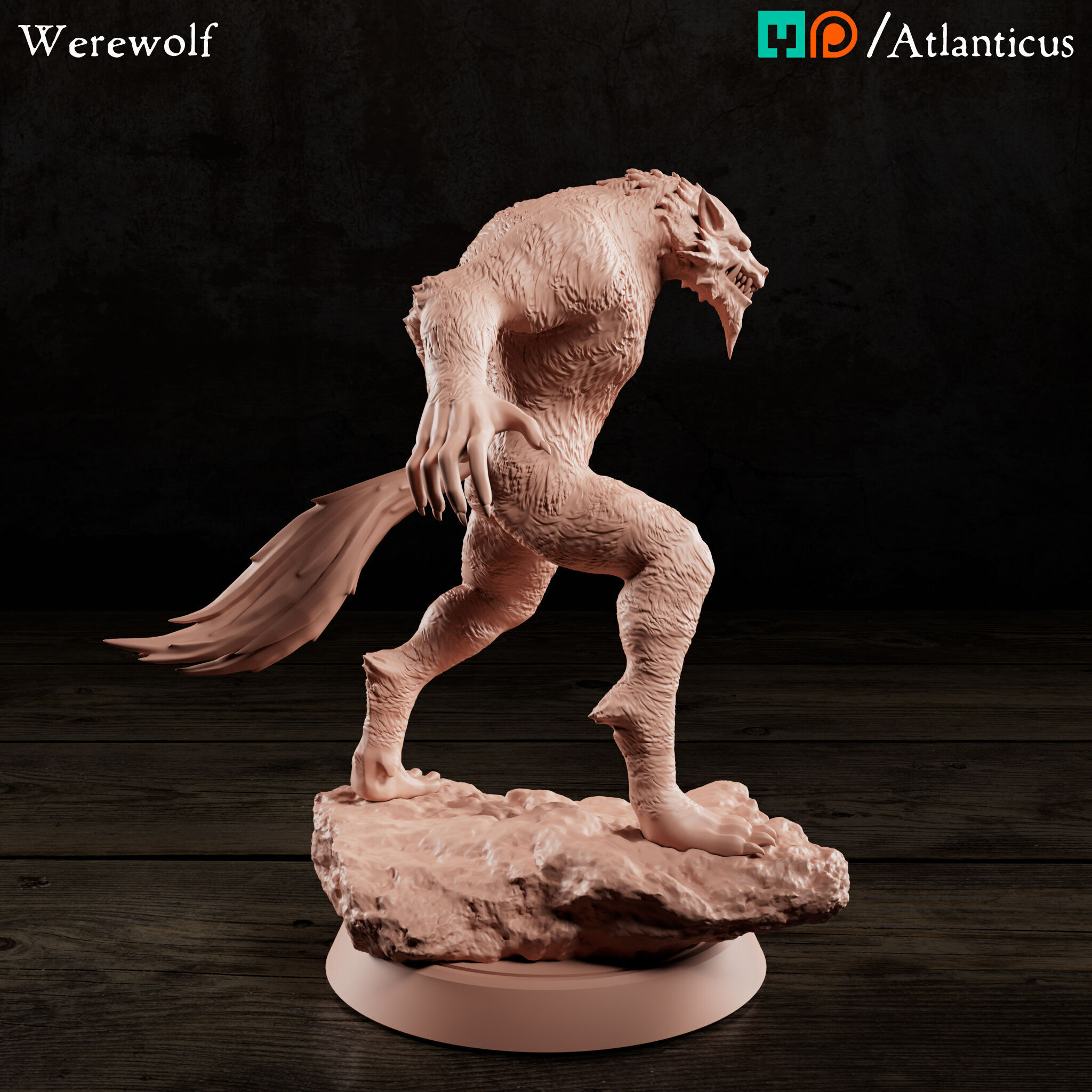 Werewolf 3D print model_4