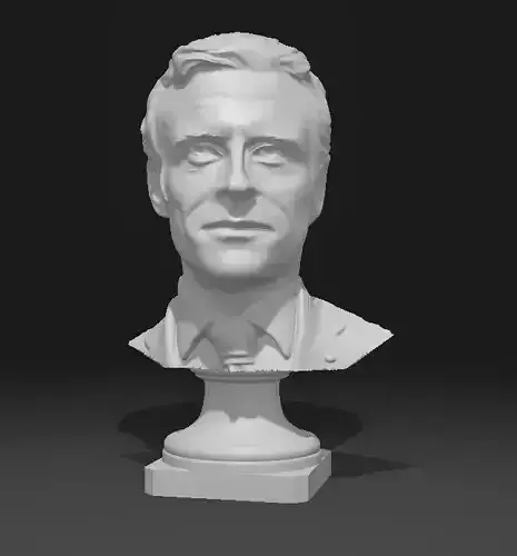 Emmanuel Macron President Portrait   3D print model