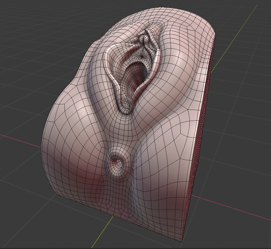 Female Genital Anatomy N-1 Low-poly 3D model_7