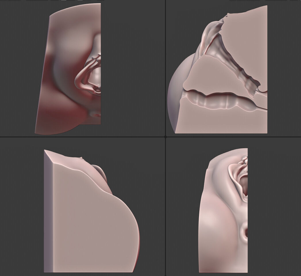 Female Genital Anatomy N-1 Low-poly 3D model_5