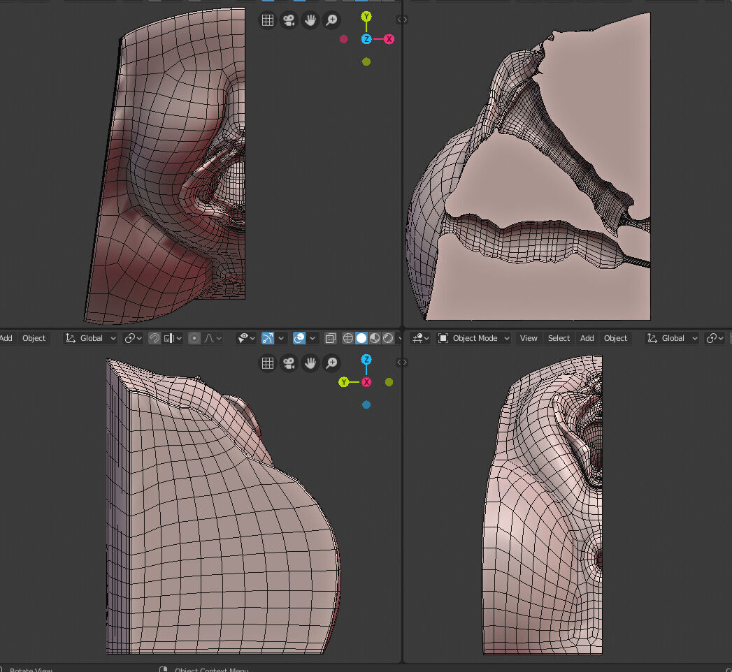 Female Genital Anatomy N-1 Low-poly 3D model_6