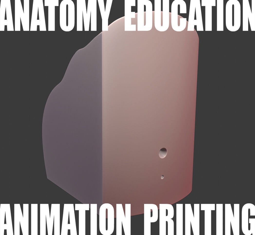 Female Genital Anatomy N-1 Low-poly 3D model_3