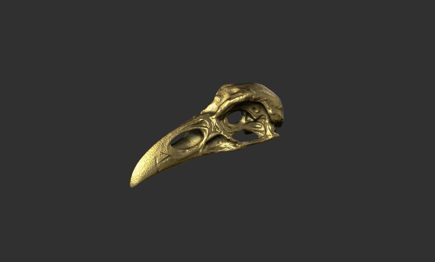 Raven Skull 3D print model_13