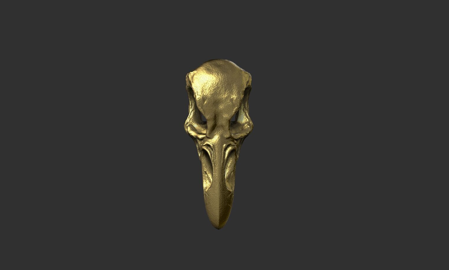 Raven Skull 3D print model_12