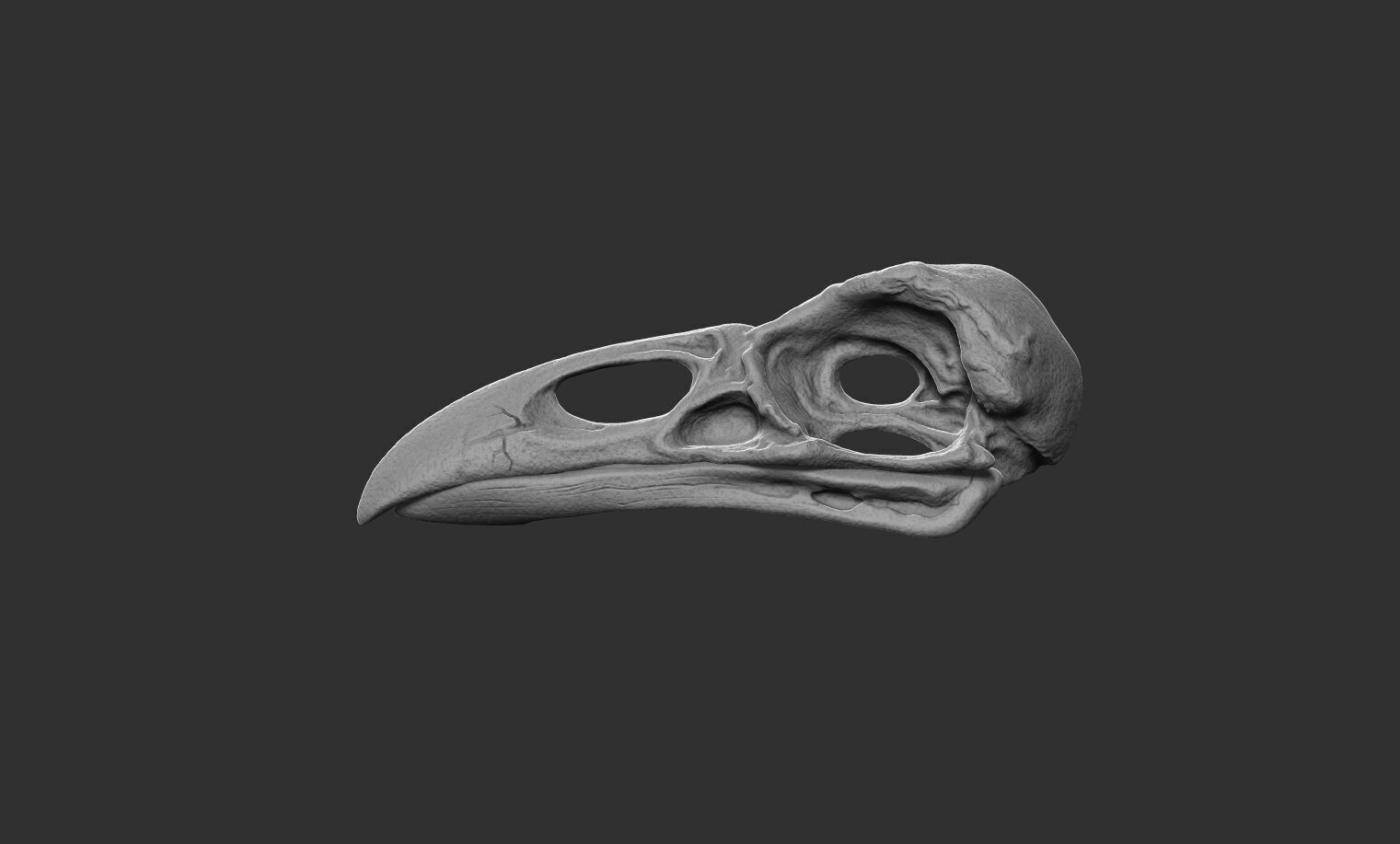 Raven Skull 3D print model_2