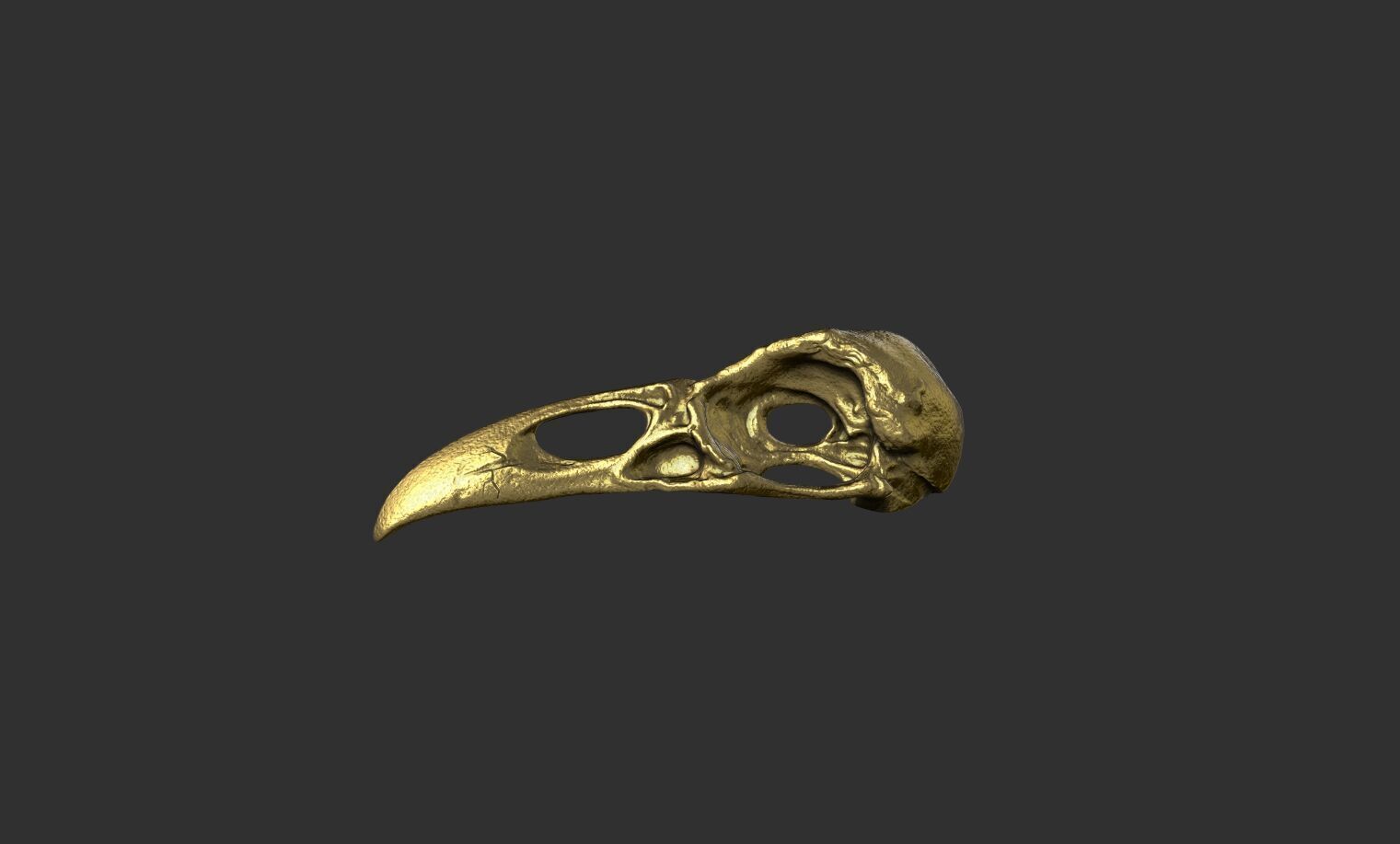 Raven Skull 3D print model_14
