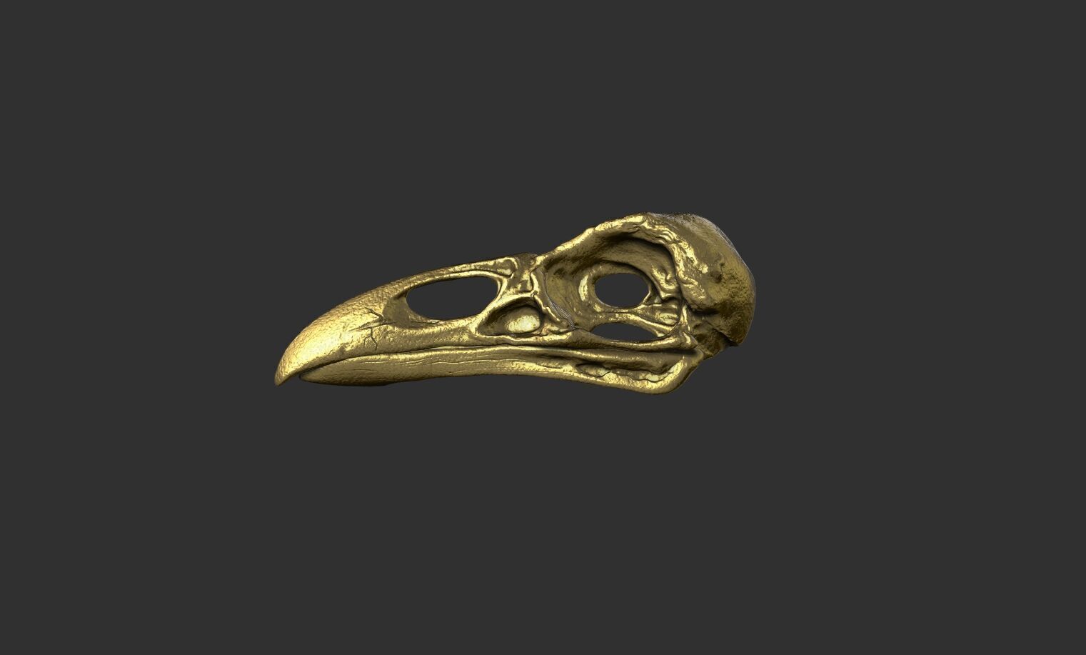 Raven Skull 3D print model_10