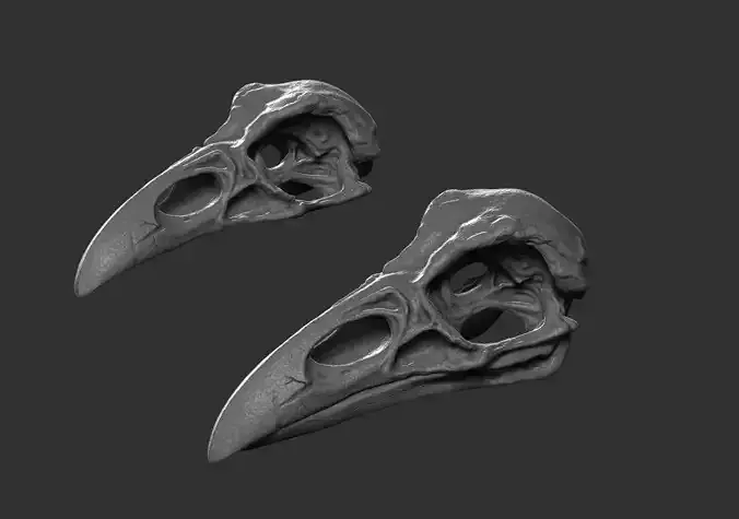 Raven Skull