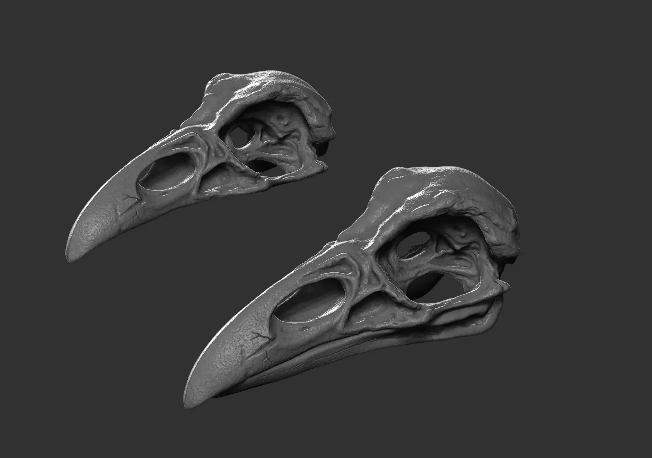 Raven Skull 3D print model_0