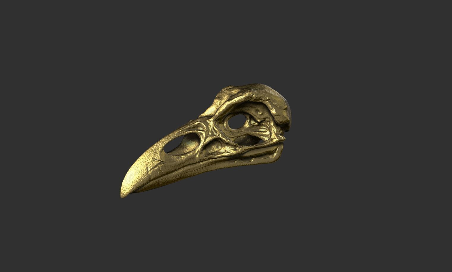 Raven Skull 3D print model_9