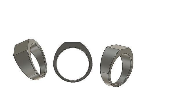 Signetring 3D print model