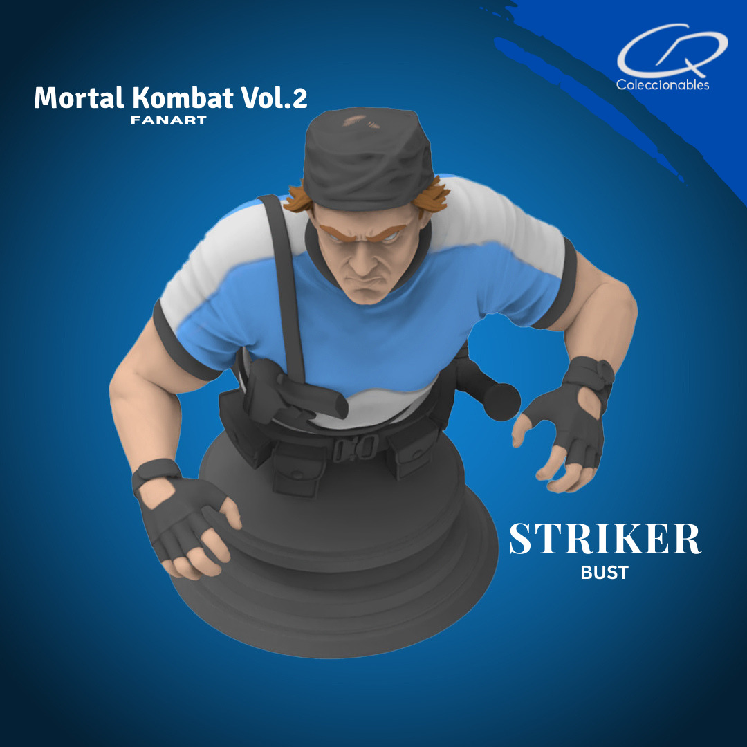 Mortal Kombat Vol 2 - Striker 3D print model_9