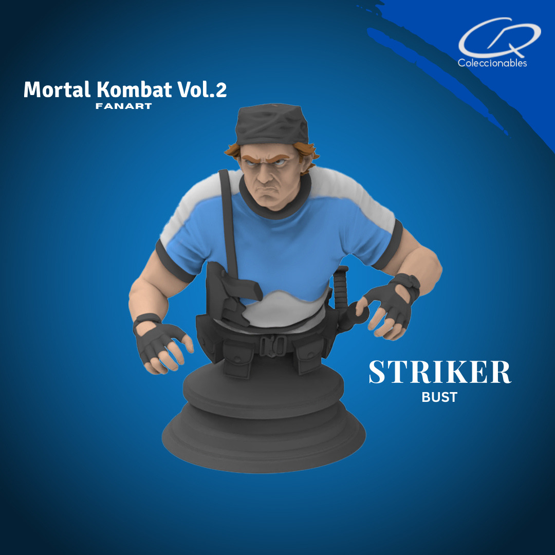 Mortal Kombat Vol 2 - Striker 3D print model_1