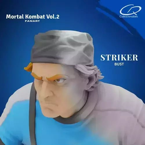 Mortal Kombat Vol 2 - Striker 3D print model