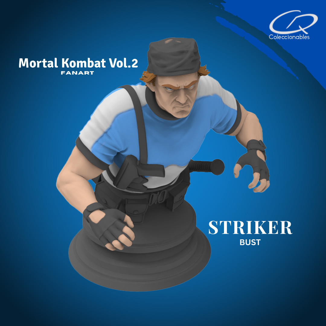 Mortal Kombat Vol 2 - Striker 3D print model_2