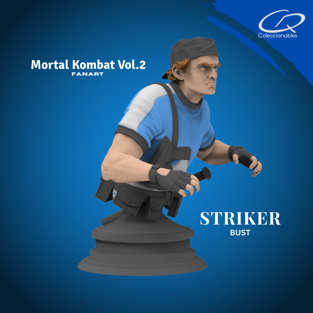 Mortal Kombat Vol 2 - Striker 3D print model_10