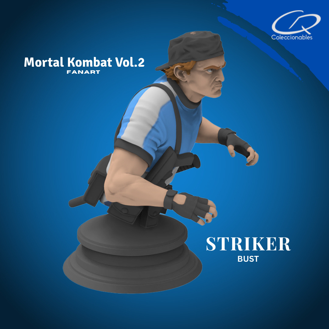 Mortal Kombat Vol 2 - Striker 3D print model_7